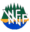 vfnv_logo